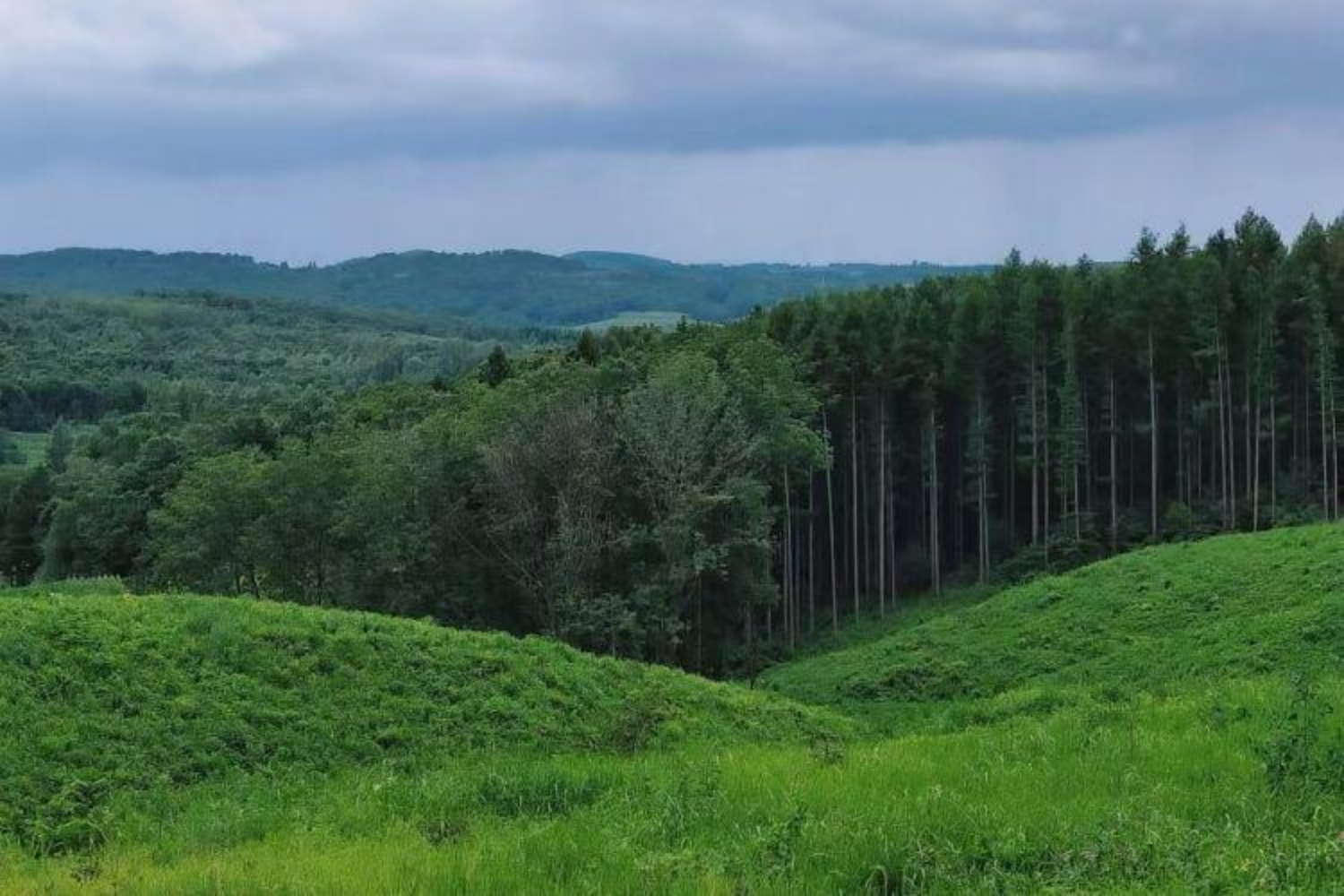 九台马鞍山山野趣行