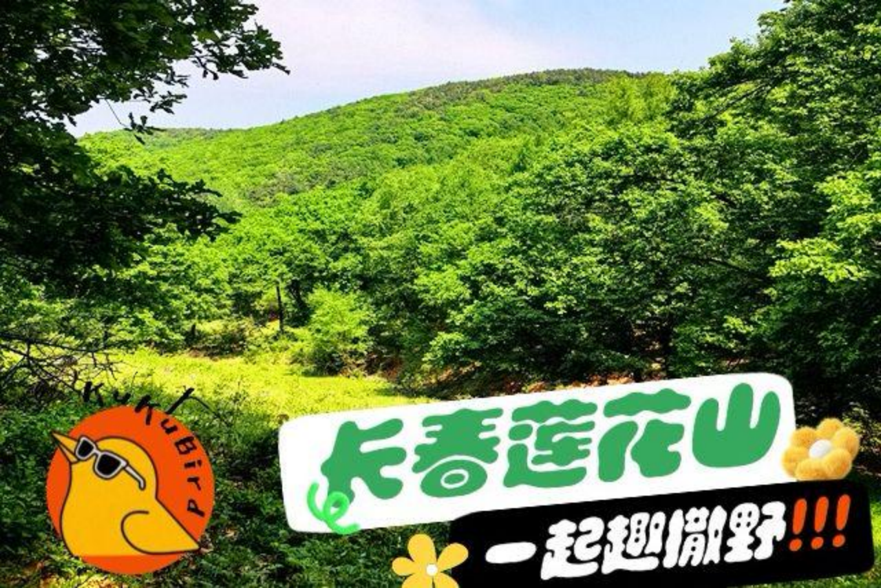 莲花山亲子林间撒野营