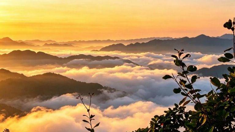 镇安海棠山奔赴浩瀚云海