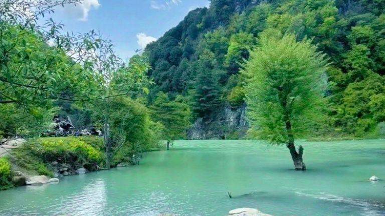 留坝两天一晚|走进紫柏山的秋天