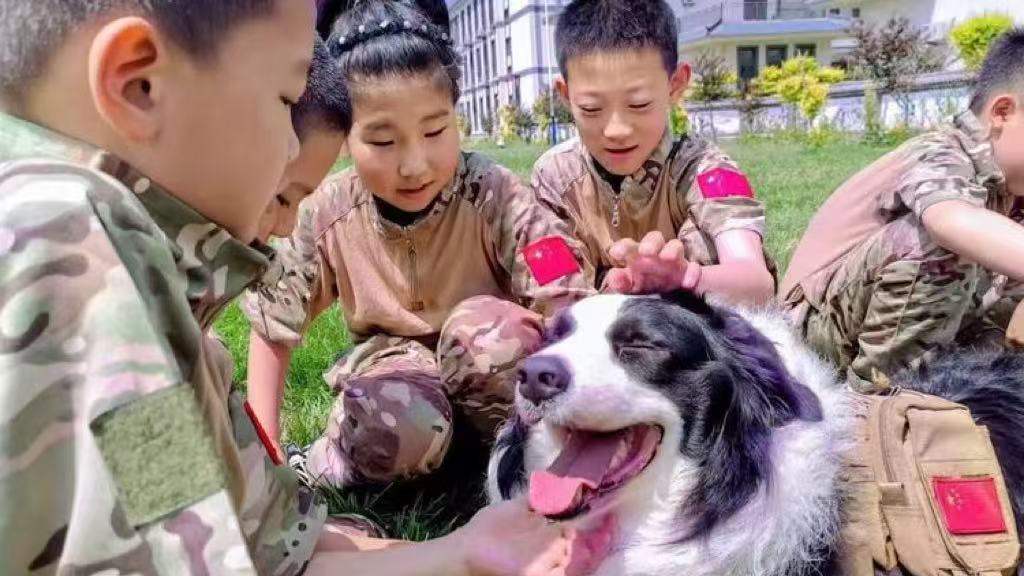 【武装缉毒】警犬伴随独立一日营